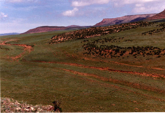 Color photograph of ruts found on the Overland Trail, looking north from near Devil's Washboard. Steamboat rock formation extreme right side of photo.