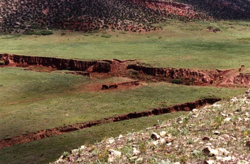 Wagon Ruts from the Overland Trail, north of Fort Collins.